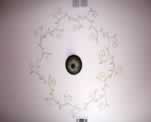Ceiling Vine Scrolling Design